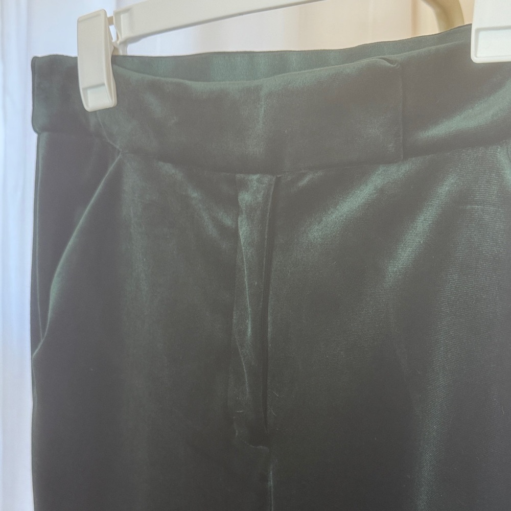 Express Elegant Deep Green Velvet Flare Pants - Picture 3 of 9